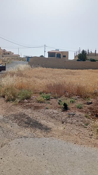 أرض استثمارية مميزة في ذهيبة الشرقية