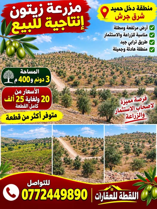 أراضي زراعية مميزة في دحل – مساحات واسعة وأسعار منافسة