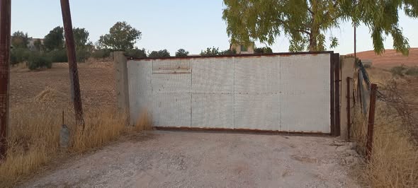 مزرعة للبيع بسعر حرق - غرب بلعما - 3