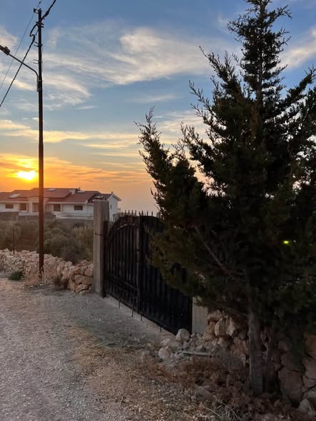 مزرعة زيتون فاخرة للبيع في السلط مع بيت ريفي - 2