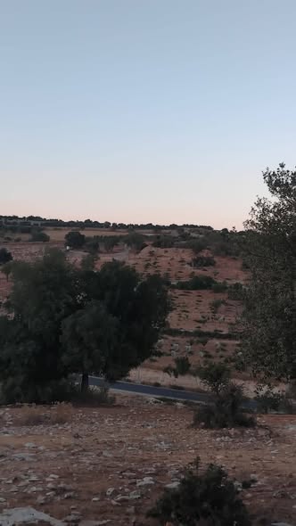 أرض سكنية للبيع في عبين – إطلالة رائعة
