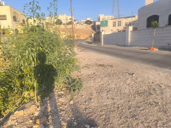أرض للبيع في طبربور - منسوب طابق - 2