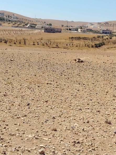 أرض استثمارية للبيع في المفرق