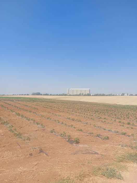 أرض سكنية للبيع في الرمثا اليرموك الغربي - مساحة 4007 م²