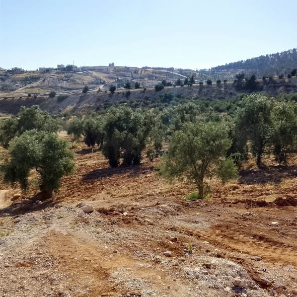 أرض استثمارية ذهبية في جرش بإطلالة رائعة - 3