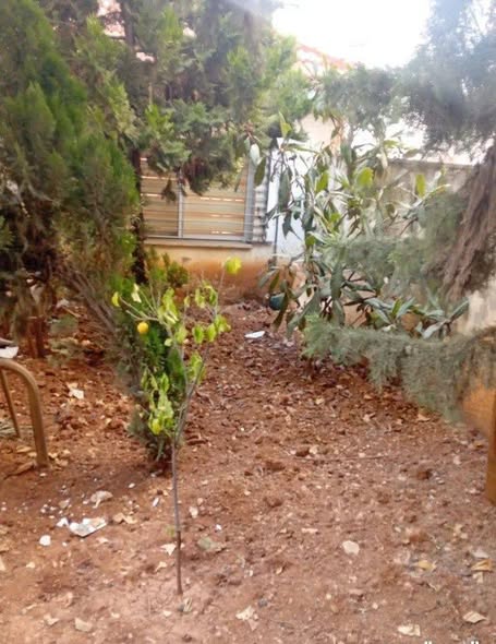 شقة فاخرة في الجبيهة بحديقة خاصة - 3