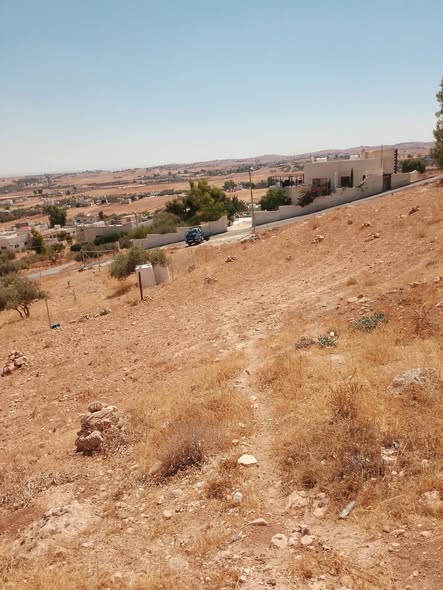 فرصة استثمارية: أرض مميزة في بلعما - 5