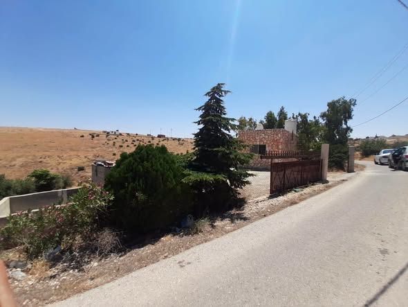 مزرعة زيتون مع بيت للبيع في بلعما - 5