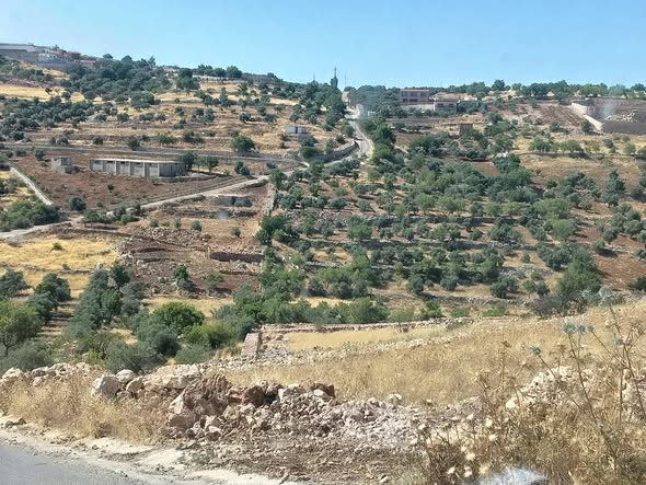 أرض زراعية للبيع في صخرة جرش – 13 دونم