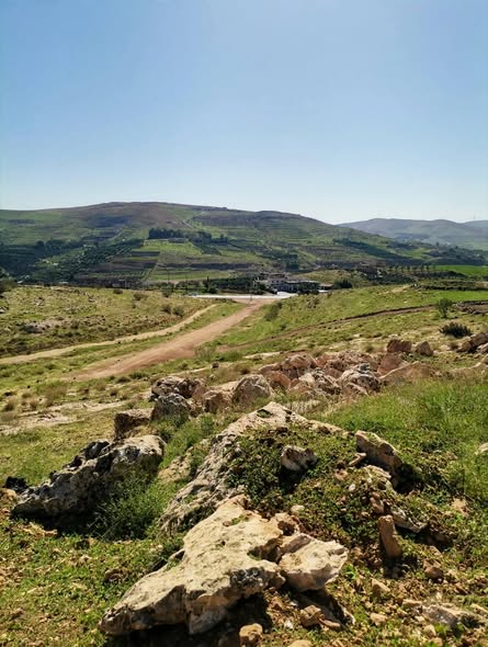 فرصة استثمارية ذهبية في عنيبة - جرش - 3