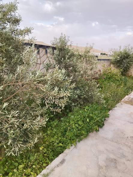 طابقان مميزان للبيع في الزرقاء - فرصة استثمارية