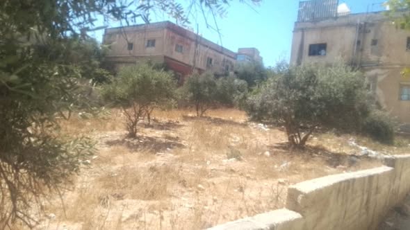أرض سكنية مفروزة في إربد - شارع فلسطين