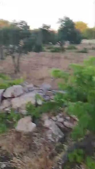 أرض استثنائية بإطلالة خلابة في عجلون للبيع