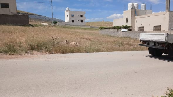 أرض استثمارية مميزة للبيع في جريبة جوفة ذياب - 5