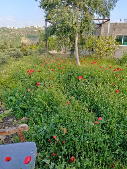 بيت مستقل للبيع في السلط مع أرض واسعة وإطلالة رائعة