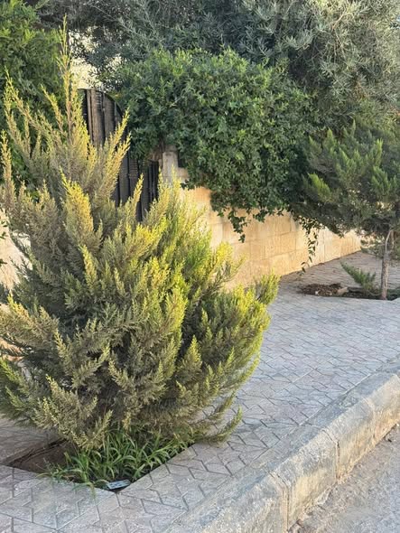 بيت مستقل فاخر للبيع في المستندة – عمان - 3