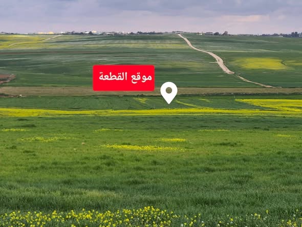 أرض زراعية/سكنية مميزة قرب الجامعة الأمريكية في مادبا - 2