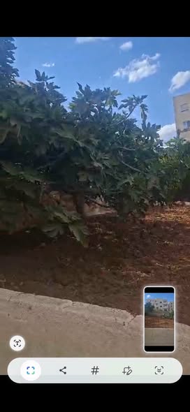 فيلا فاخرة للبيع في طبربور بحدائق وفيرة - 3