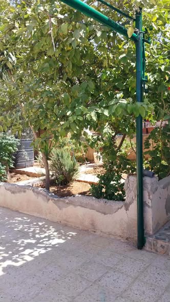 منزل مستقل فاخر في حي الزواهرة - 2