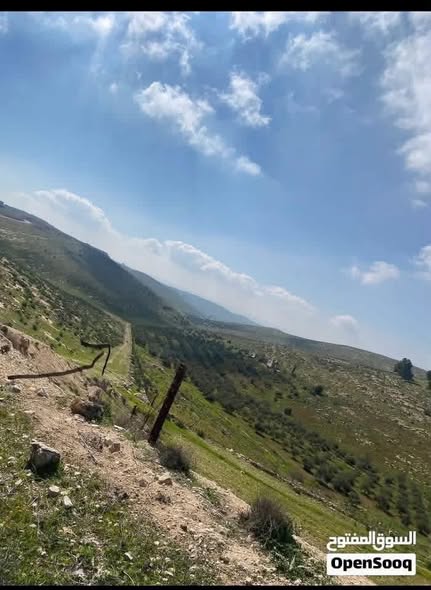 أرض استثمارية 10 دونمات في المفرق – عين والمعمرية بسعر مغري