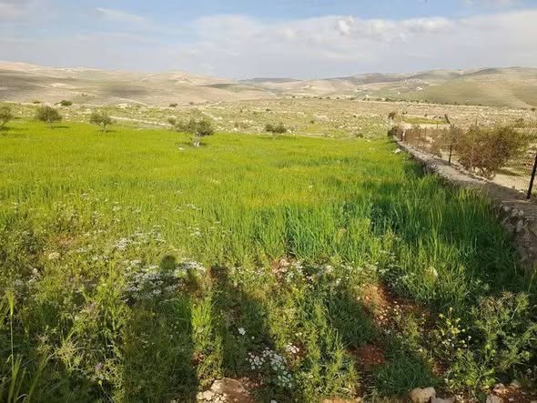 قطعة أرض مميزة للبيع في الزرقاء - القنية - 2