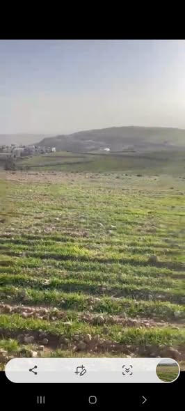 أرض مرتفعة للبيع في حيان المشرف - 5