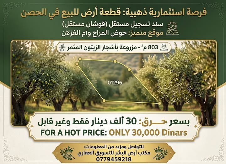 قطعة أرض زراعية للبيع في الحصن - فرصة استثمارية نادرة