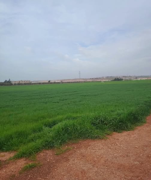 أرض استثنائية للبيع في حوارة، إربد