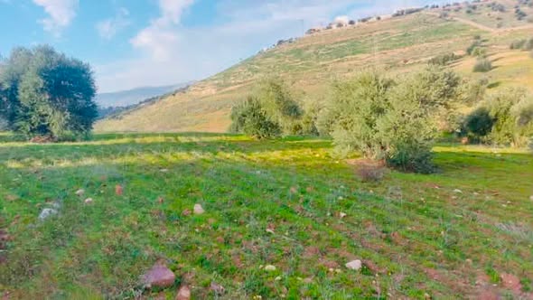 أرض زراعية فاخرة للبيع في السلط - فرصة استثمارية نادرة - 4