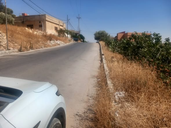 مزرعة زيتون فاخرة للبيع في جرش - 2