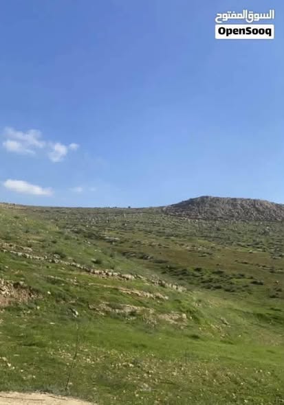 أرض استثمارية 10 دونمات في المفرق – عين والمعمرية بسعر مغري - 2