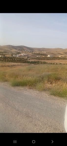 أرض استثمارية للبيع في بلعما على شارعين