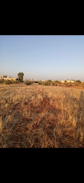 قطعة أرض سكنية استثمارية للبيع في بلعما - 5