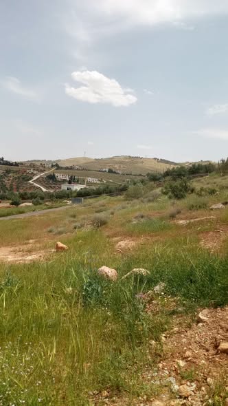 أراضي سكنية في بيرين – موقع استراتيجي واستثماري - 4