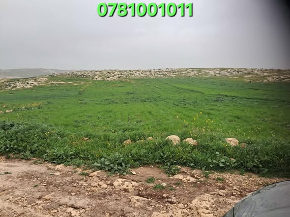 فرصة ذهبية: أرض 4 دونمات في إربد – استثمارية مميزة - 3