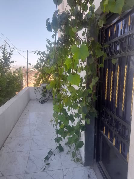 بيت مستقل للبيع في أرحابا - مجدد بالكامل بـ 18,000 دينار - 2