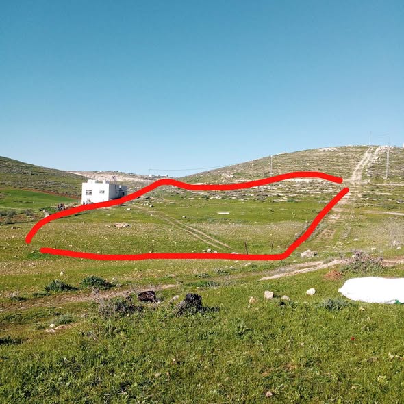أرض زراعية فاخرة للبيع في بلعما