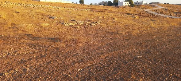 فرصة استثمارية: قطعة أرض 3 دونمات في بلعما بعين والمعمرية - 4
