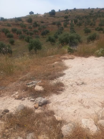 مزرعة استثمارية للبيع في خطلة