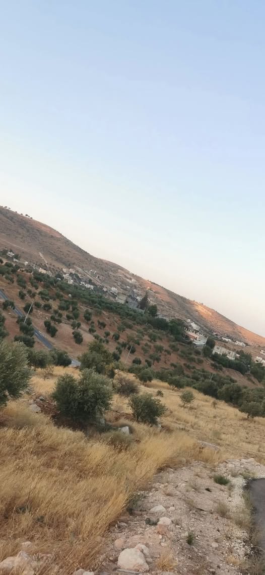 نمرة مميزة للبيع في بيرين