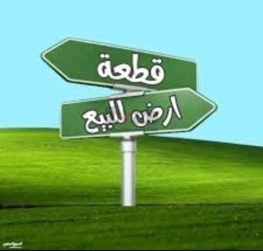 أراضي للبيع بالتقسيط في وادي العش والبيضاء