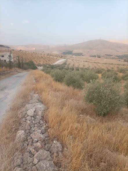 قطعة أرض للبيع في بيرين صروت