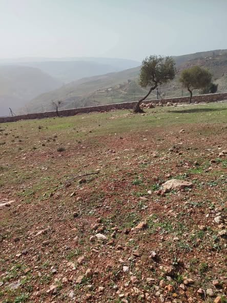 فرصة استثمارية: أرض بإطلالة بانورامية في جرش – القبيسه - 2