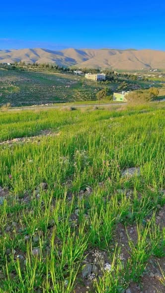 أرض فاخرة للبيع في صروت - إطلالة مميزة وموقع استثنائي
