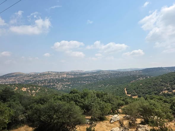 أرض استثمارية في برقش - فرصة نادرة - 4