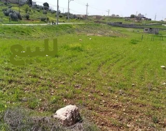 نص دونم مفروز في جرش – فرصة استثمارية مميزة