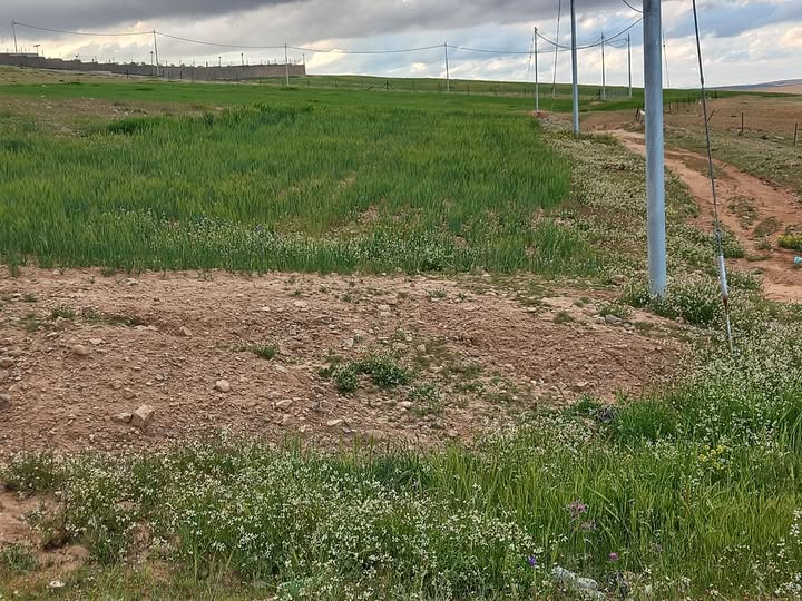 قطعة أرض استثمارية مع إطلالة ريفية في النهضة