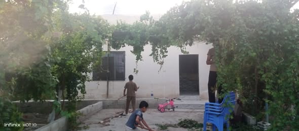 فرصة استثمارية زراعية فاخرة - 4