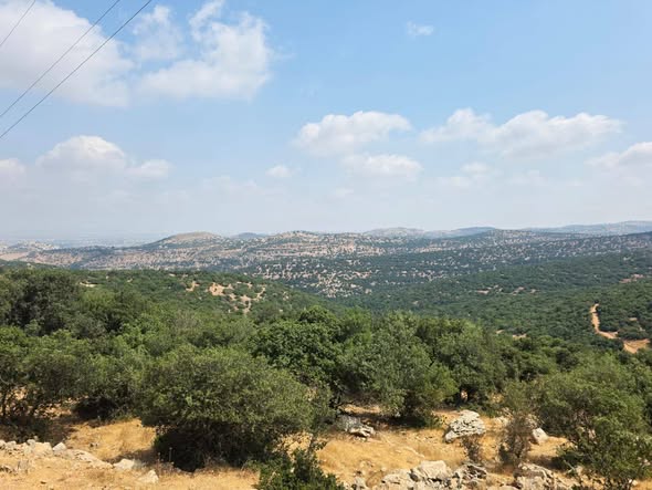 أرض استثمارية في برقش - فرصة نادرة - 2