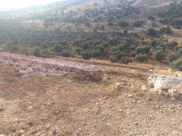 أرض زراعية فاخرة للبيع في عجلون – فرصة استثمارية - 2